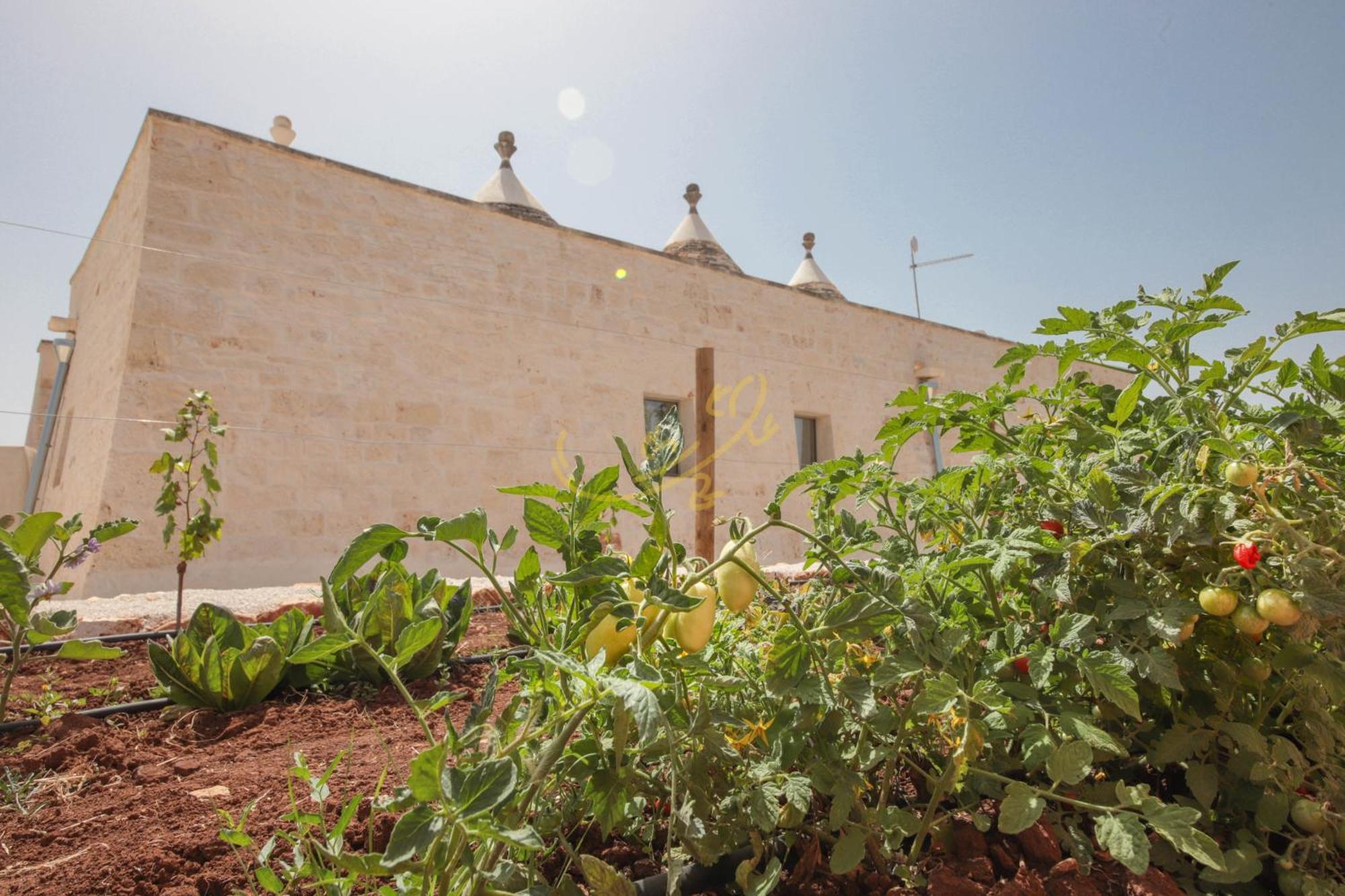 Вилла Td I Coni Di Pinure Trulli With Scenic Valley View Мартина-Франка Экстерьер фото